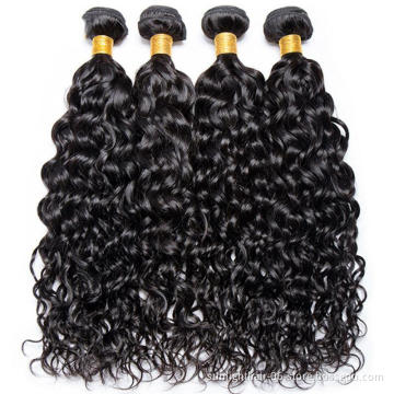 Sunlight curly human hair bundles with closure wholesale vendors raw cuticle aligned virgin hair bundles